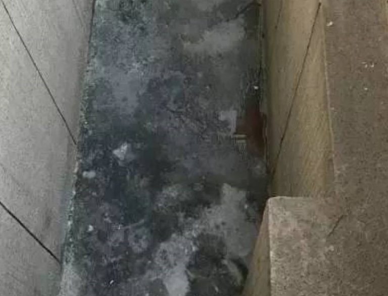 求愛不成生殺機 河南「富二代」將女孩推下19樓