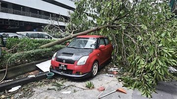 【禁闻】“天鸽”吹袭澳门 暴露大陆化问题