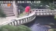 粤保姆别墅中跌落鱼池溺毙 几经挣扎无人相救（视频）