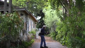 冬雨多蚊多 加州3人死于西尼罗河病毒