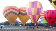 五彩缤纷 2017澳大利亚热气球比赛