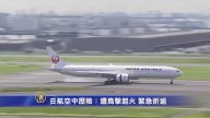 日航空中历险：遭鸟击起火 紧急折返