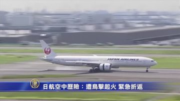 日航空中歷險：遭鳥擊起火 緊急折返