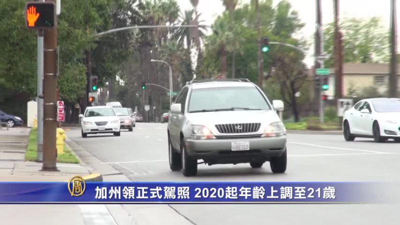 加州領正式駕照 2020起年齡上調至21歲