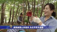 韓國鹹陽山參慶典 為世界帶來健康