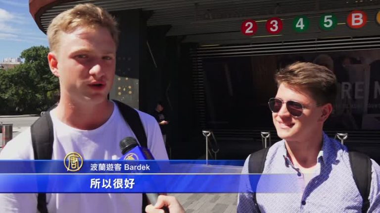 共享汽車將上路紐約 市府徵集試點區