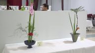 不同流派各有千秋  花道高手展技艺