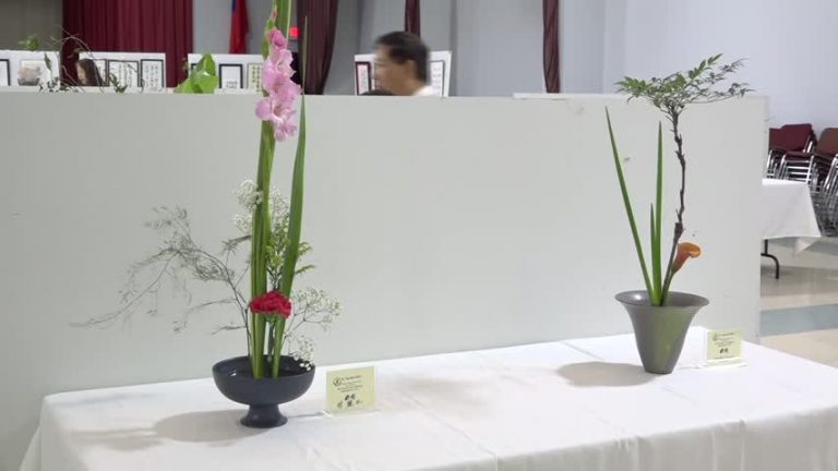 不同流派各有千秋  花道高手展技藝