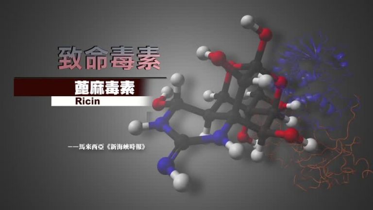 金正男命案兩女嫌10月2日受審