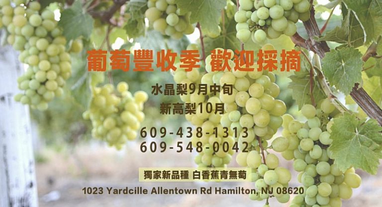 【廣告】常青果園 新鮮水果等你摘！
