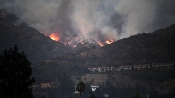 洛杉矶拉图纳山火已控制 被疏散的居民正陆续返回家园