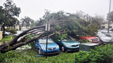 艾瑪登陸佛州已釀4死 300萬戶大停電（視頻）