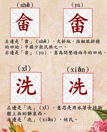 36个 双胞胎 汉字 难倒很多中国人 中国传统文化 新唐人中文电视台在线