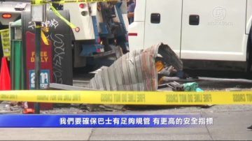 法拉盛車禍後續 議員籲加強監管 打擊超速