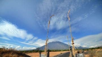 印尼阿贡火山恐爆发 野生动物四处逃窜