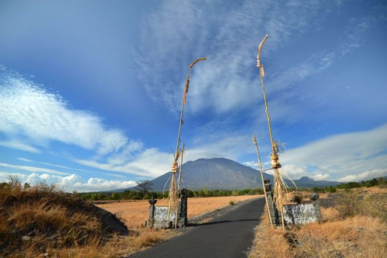 印尼阿貢火山恐爆發 野生動物四處逃竄