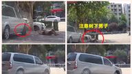 命大！安徽男躺地午睡 被車壓頭僅受輕傷