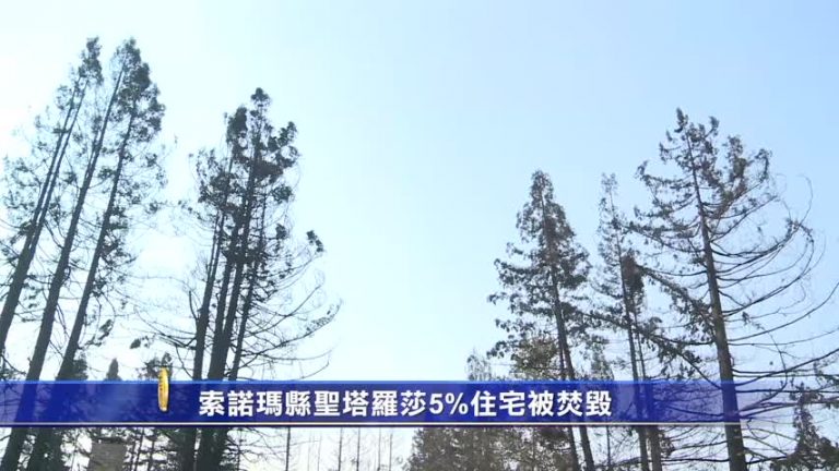 10月13日灣區簡訊