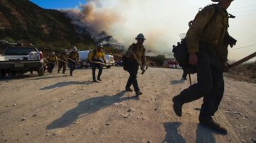 上萬消防人員出動  北加州野火撲救見效