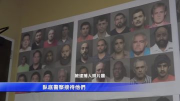 警方卧底 逮捕嫖客139人 含警察一人