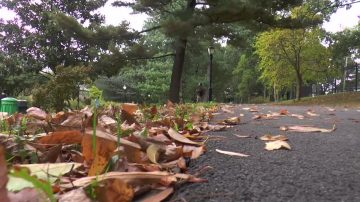 桑迪飓风五周年 强风豪雨周日再袭纽约