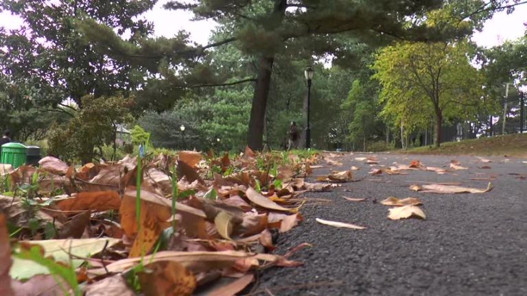桑迪颶風五週年 強風豪雨週日再襲紐約