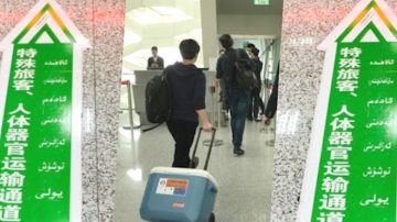 南航自曝空运活体器官逾500宗 中共活摘再被关注