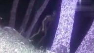 警察拍下疑似外星人近照，吓得脊梁骨冒冷汗！(视频)