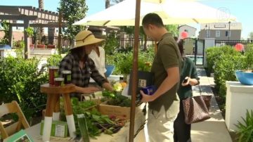 奇诺新规划社区Harvest 居民乐享收获