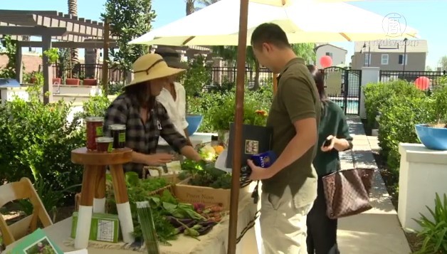 奇诺新规划社区Harvest 居民乐享收获