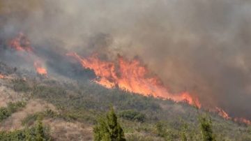 橙縣舊地又過火 峽谷2號山火更猛烈