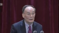 王岐山19大首次个人讲话流出 德媒：与另外6常委微妙不同