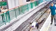 南亞漢冷不防推人下軌 港輕鐵女職員骨折(視頻)