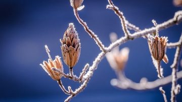 霜降天宇清   晚秋重养生