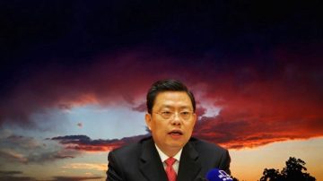 赵乐际缘何大热？与习同乡  力助习家军卡位要津