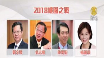 桃园市长选战白热化 国民党多位人士表态参选