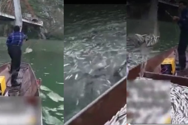 中國近海9成已無魚  「斷子絕孫」式捕魚是罪魁