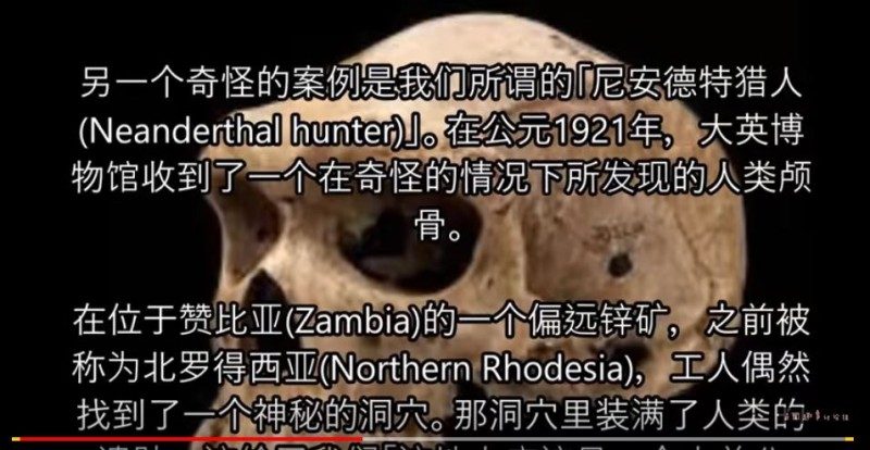萬年前的頭骨上面竟然出現了現代的子彈孔?（視頻）