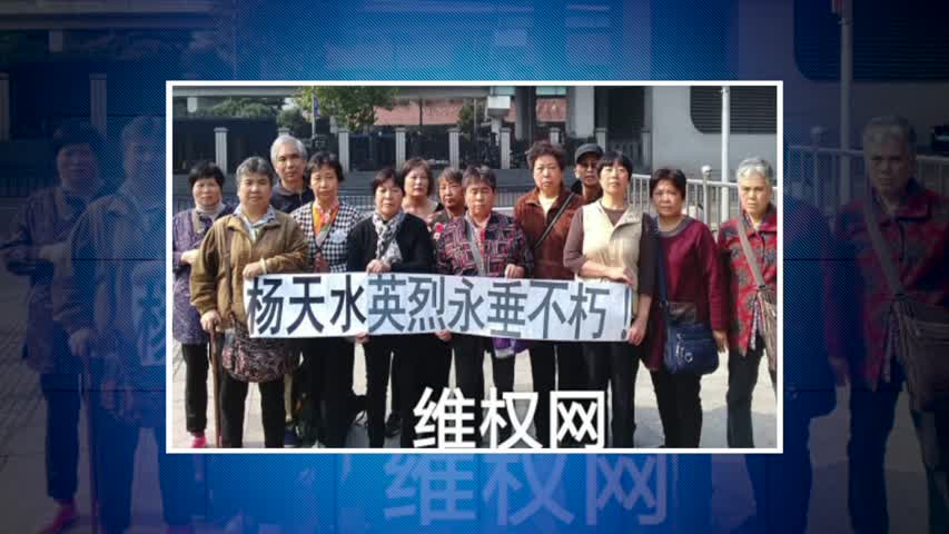 【禁闻】11月9日维权动态