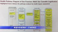 舊金山衛生局：大麻立法需保護青少年