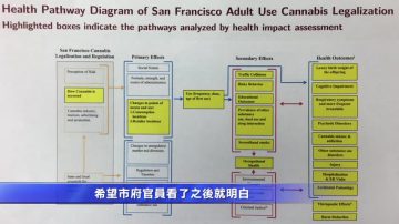 舊金山衛生局：大麻立法需保護青少年