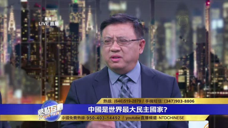 民主有各種形式 專制也可以說成民主嗎？