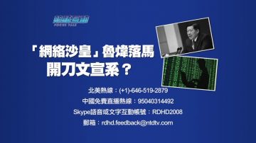 【预告】热点互动：“网络沙皇”鲁炜落马 开刀文宣系？