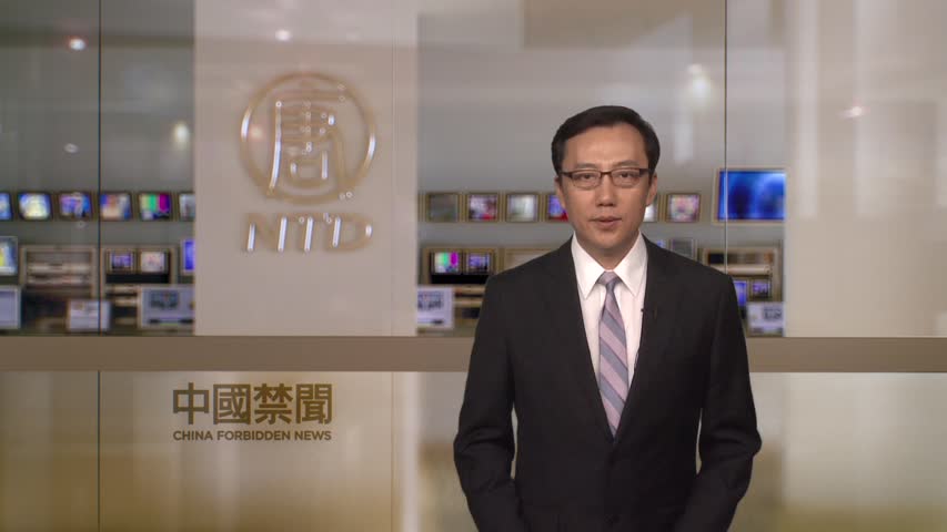 【禁闻】11月24日维权动态