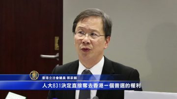 港泛民議員參選港區人大 抗議831