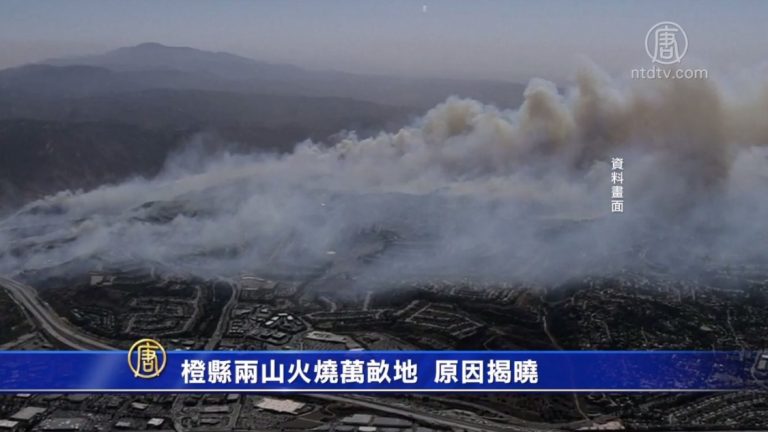 橙縣兩山火燒萬畝地 原因揭曉