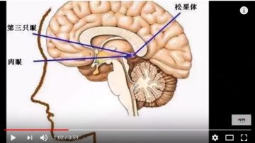 人类竟然有第三只眼睛？原来这样就能看到平时看不到的东西！（视频）