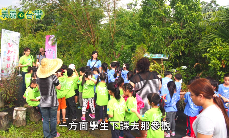 美麗心台灣：創辦藥園 陳淑良力推藥草傳承(上集)