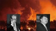 陳思敏：江澤民救虎不成 江綿恆被曝涉大老虎
