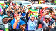 津巴布韦大规模游行 施压穆加贝下台